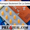 Kamagra Seulement De La Gelée 43